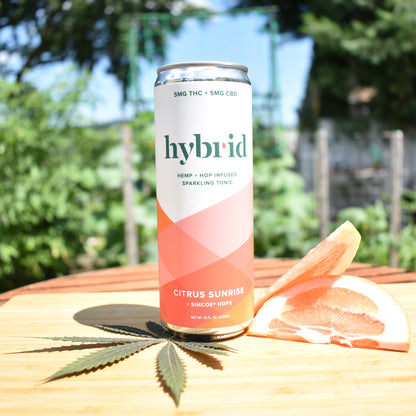 Hybrid Tonic Citrus Sunrise with grapefruit slices